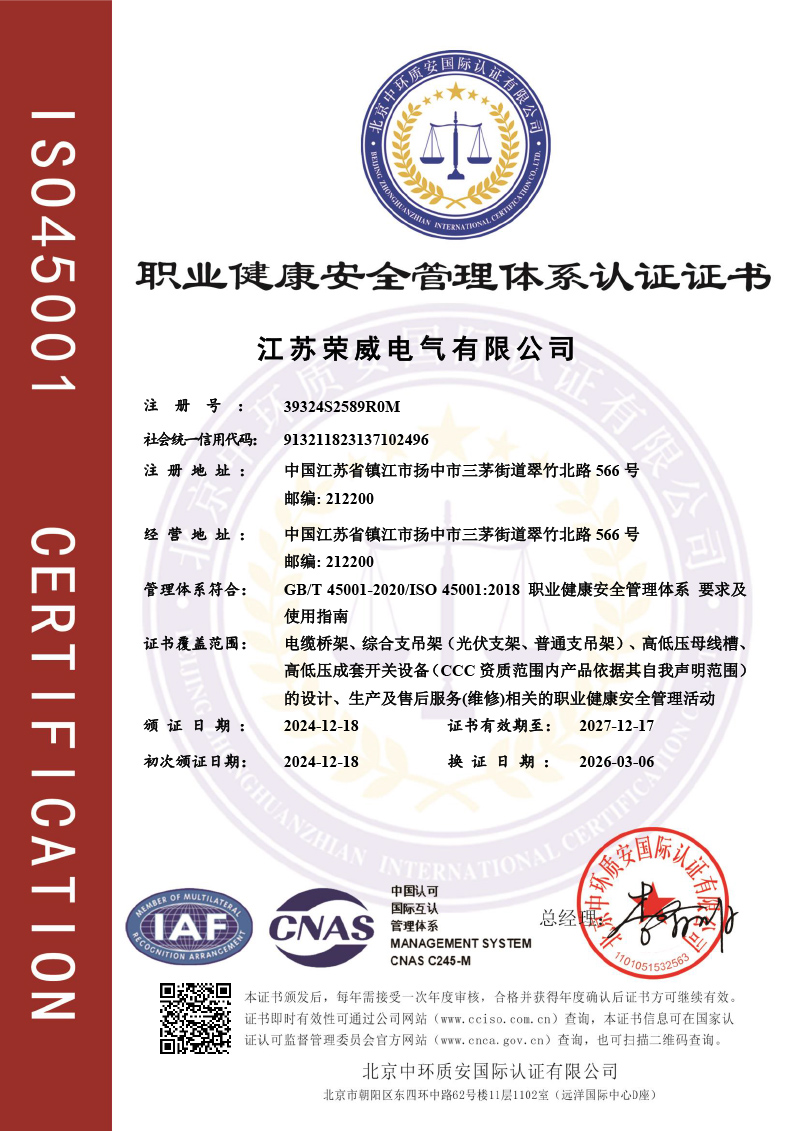 职业健康安全管理证书中文.jpg